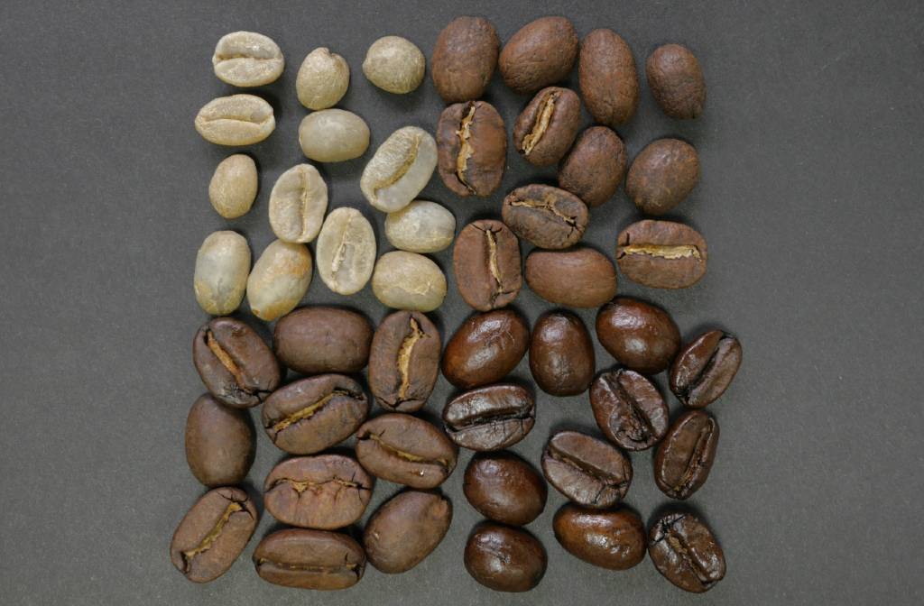 Understanding Coffee Roasting Levels: Light, Medium, and Dark